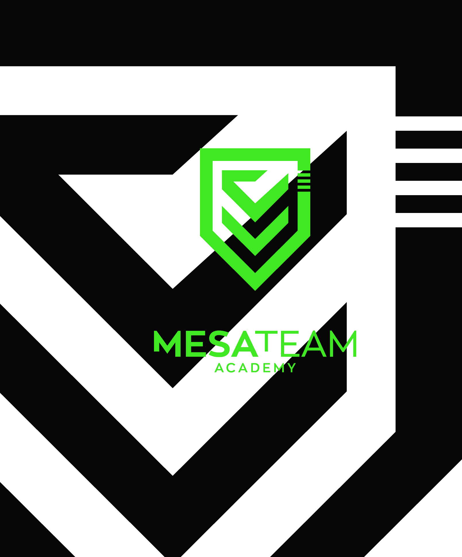MesaTeam Academy